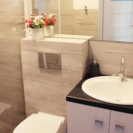 Nowe Διαμέρισμα Puck